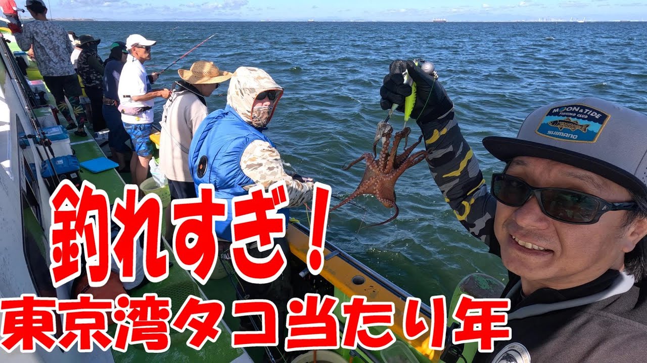 2025東京湾タコ当たり年
