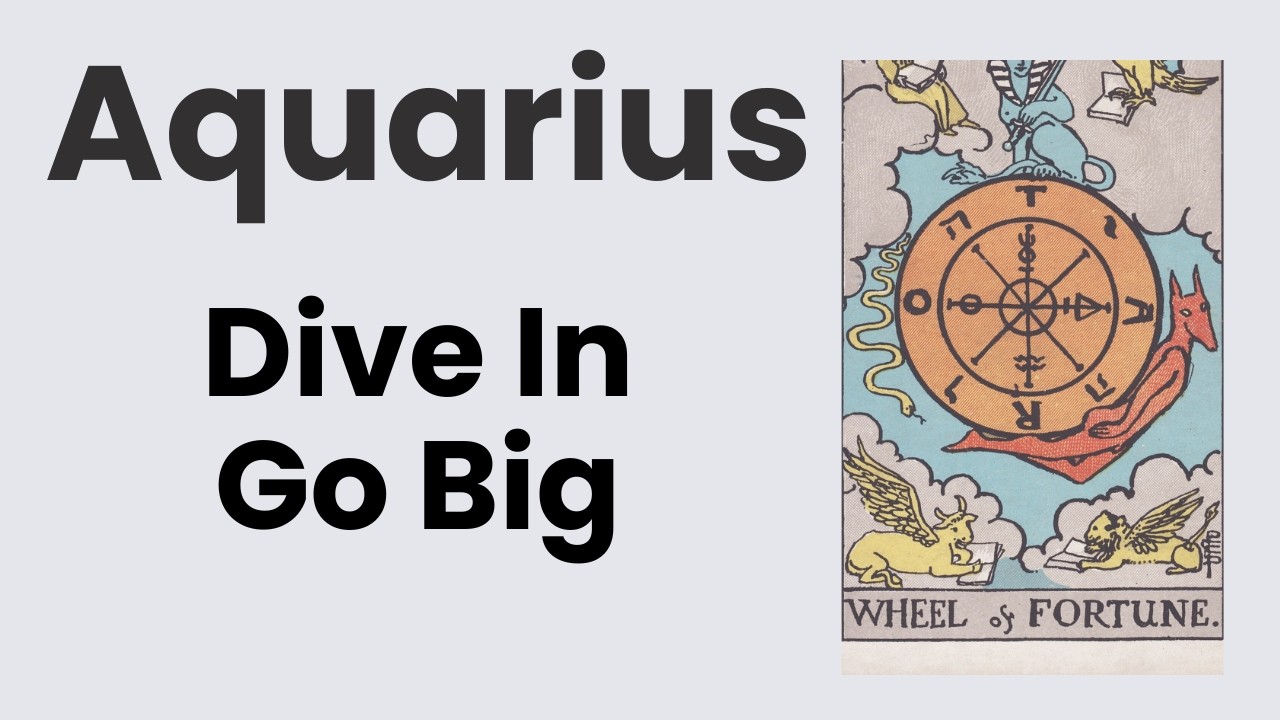 Aquarius You Were Built For What You’re About To Create! 🩵 February 9th – 16th Weekly Tarot
