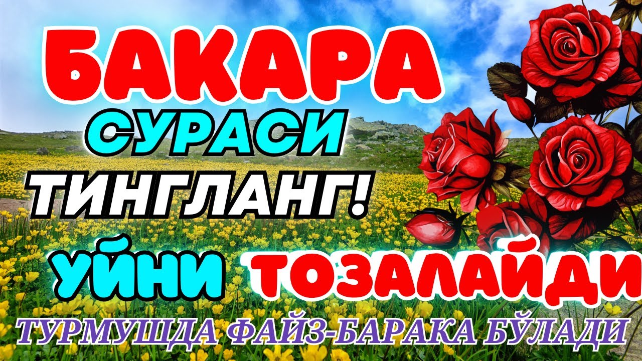 Бақара сураси Уйга ШАЙТОН кирмайди !!! Baqara surasi БАКАРА BAQARAH | БУ СУРАНИ УҚИНГ