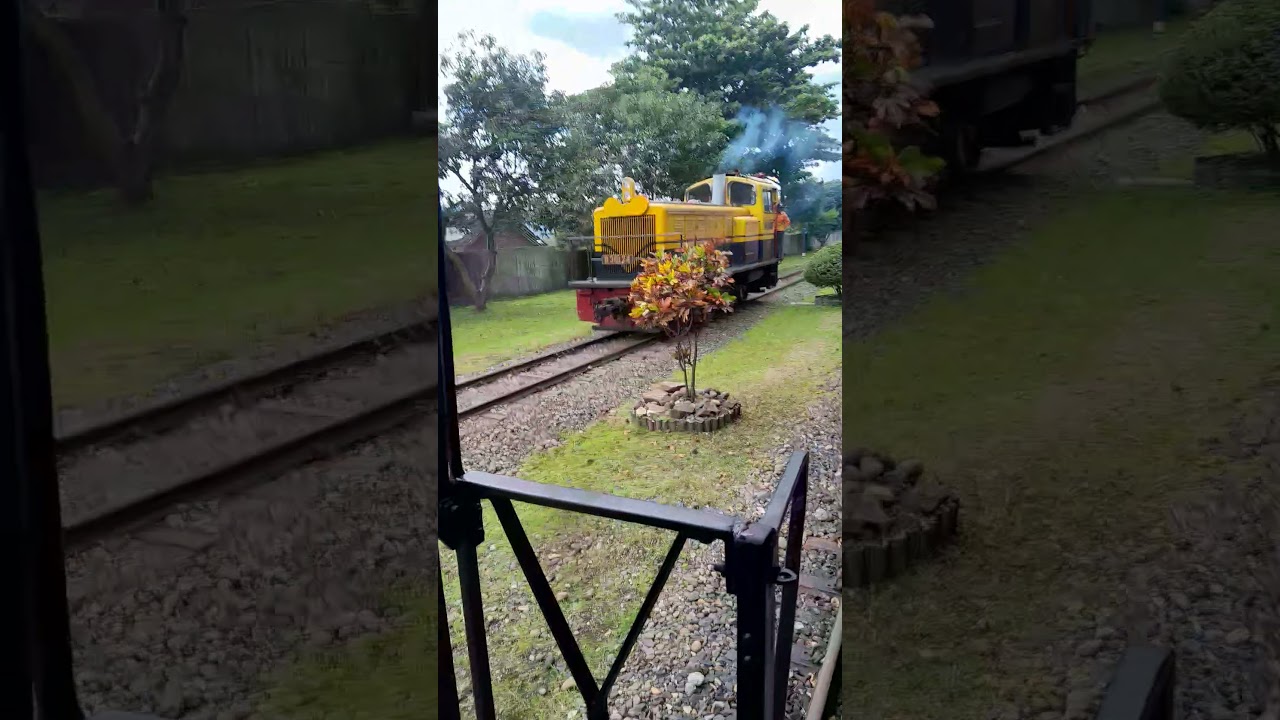 D301 LANGSIR🗿🗿🗿🗿 #indonesia #keretaapi #ambarawa