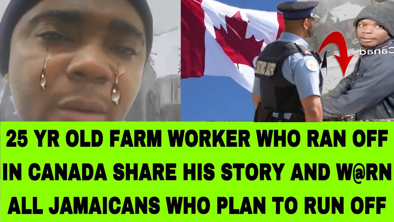 PUPA JESUS😮FARM WORKER SHARE HIS STRUGGLES LIVING IN THE STREETS IN CANADA AFTER HE RUN OFF LISTEN