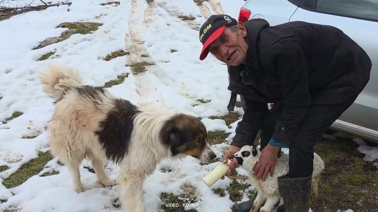 Posjetili smo i Ibru nakon duže pauze