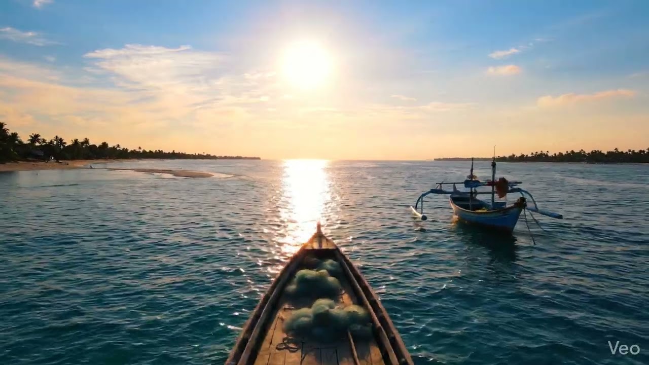 Palk strait is located between India and........... 