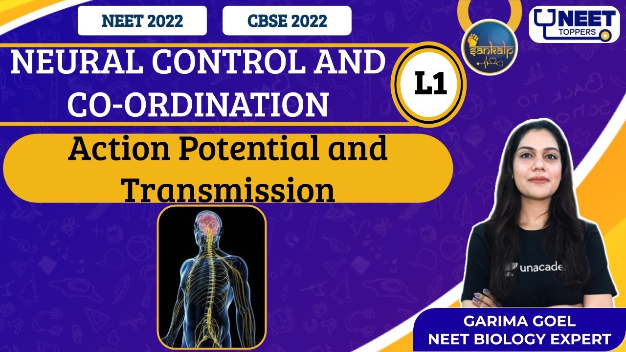 Sankalp: Neural Control and Co-Ordination L-1 | NEET Toppers | Garima G.