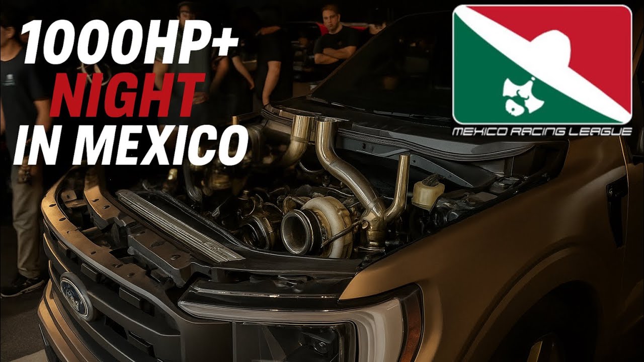 1,000+ Night In Mexico