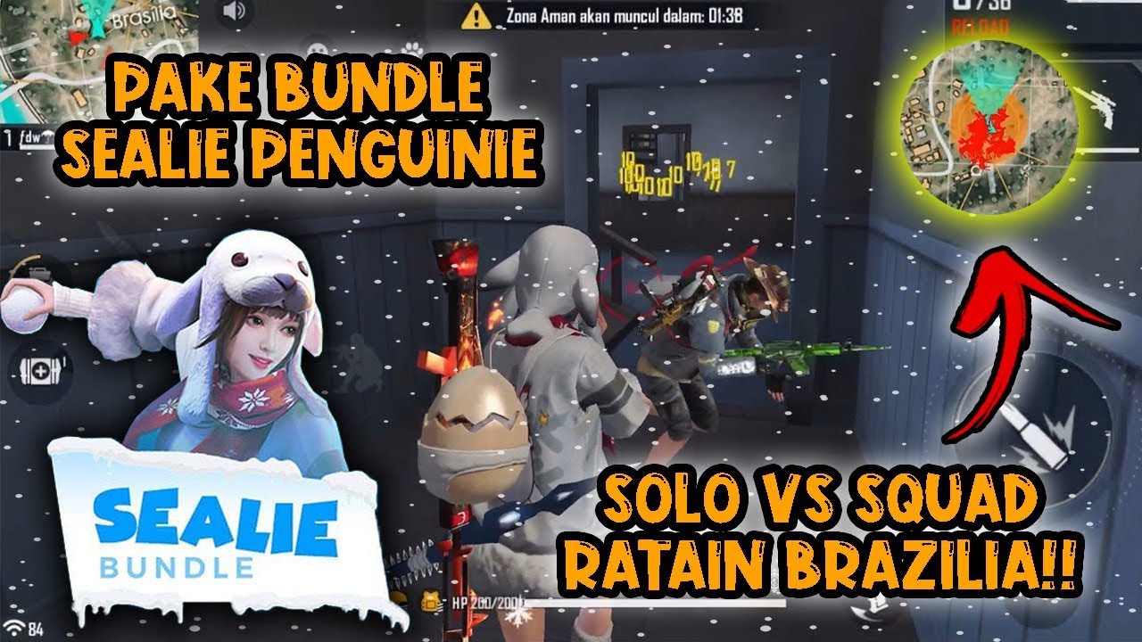 PAKE BUNDLE SEALIE PENGUINIE?! SOLO VS SQUAD RATAIN BRAZILIA!!