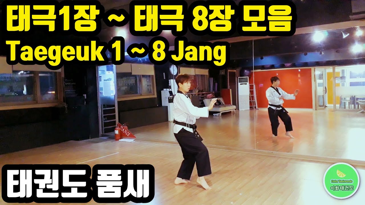 태권도 품새 배우기 태극1장 ~8장 종합편(Taegeuk 1~8jang)