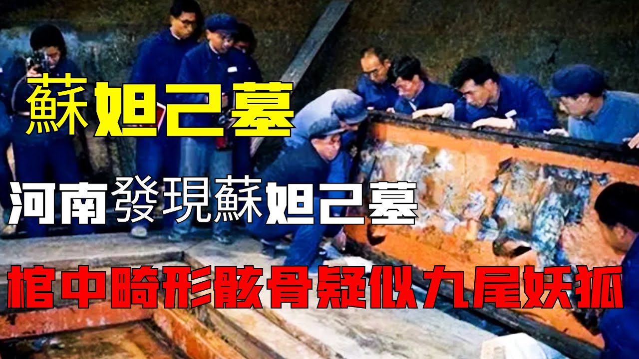 中國河南發現蘇妲己墓，墓中龜甲暴露真相，蘇妲己被冤枉了3600年？