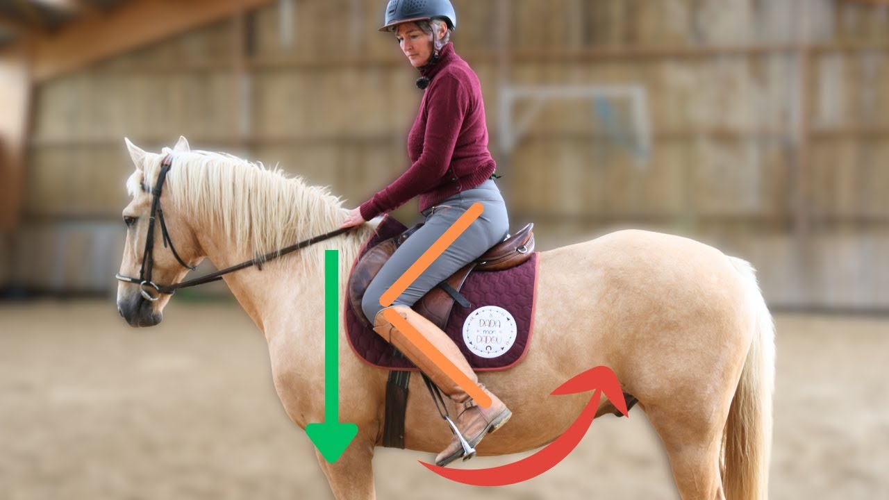 Jambes qui bougent au galop ? 3 exercices pour enfin les stabiliser