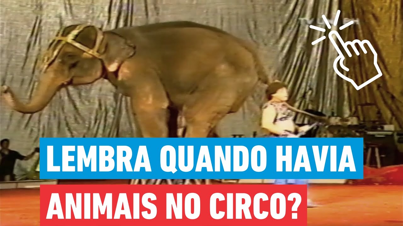 COMO ERA UM CIRCO EM 2001 - BETO CARRERO
