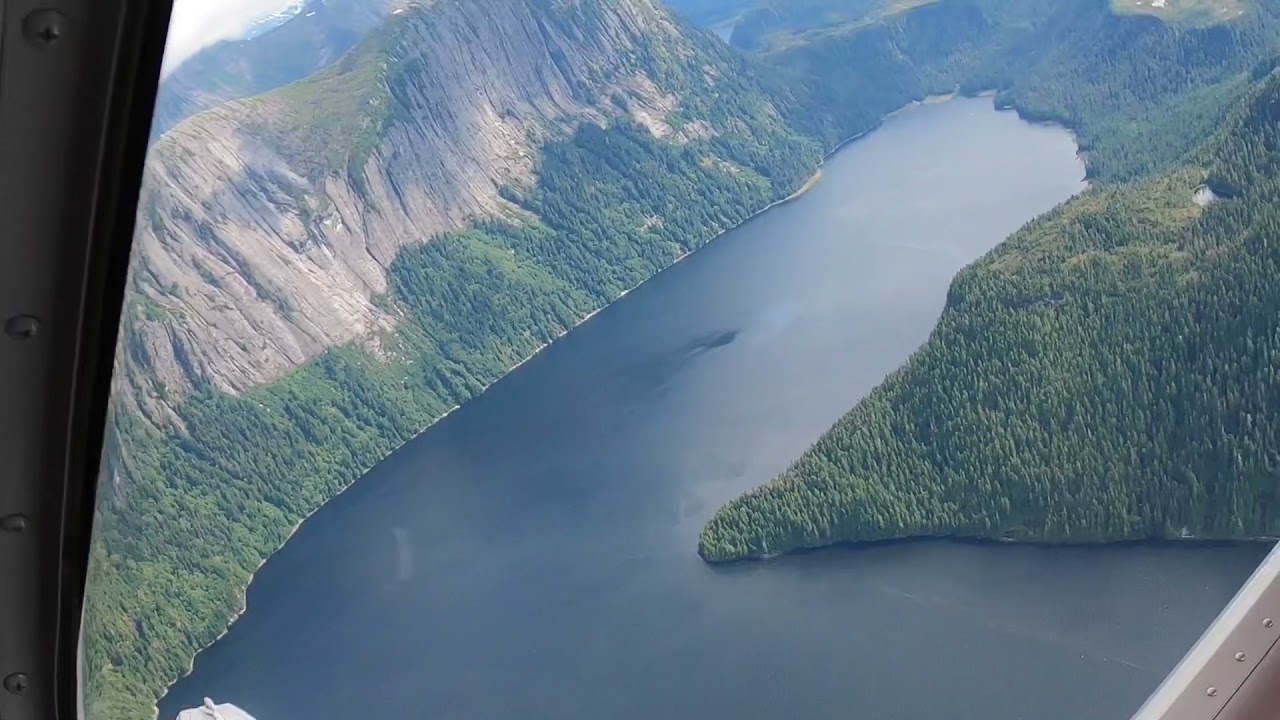 Ketchikan, Bear and Flightseeing
