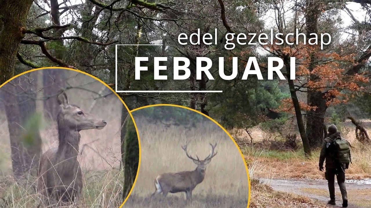 #93 - FEBRUARI - edel gezelschap