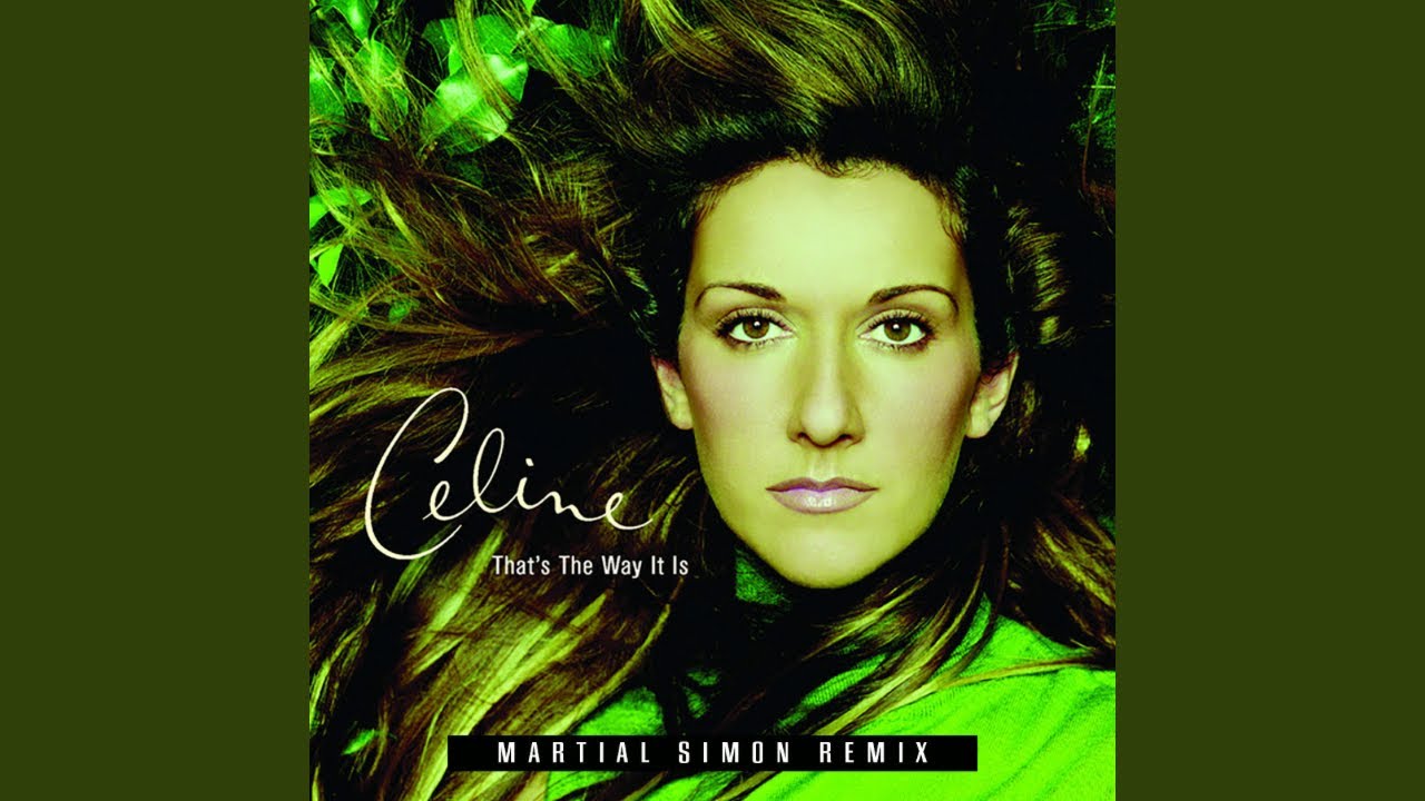 Céline Dion - That's the Way it Is (Martial Simon Remix)