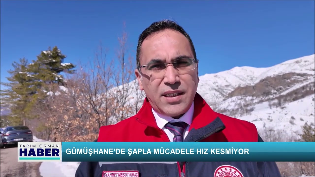 Gümüşhane’de şapla mücadele hız kesmiyor