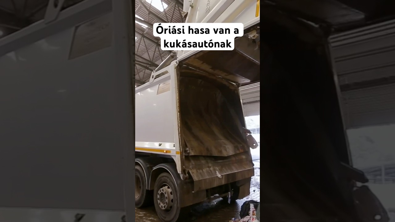 Óriási hasa van a kukásautónak #hogyankeszul #hulladék #hulladékkezelés #újrahasznosítás #szelektív