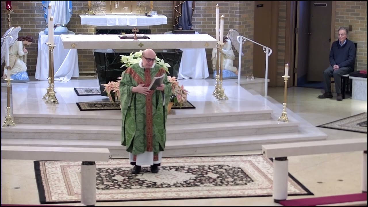 God's will! Powerful homily from Fr. Amedeo Guida. 🙏🏻❤️🙏🏻