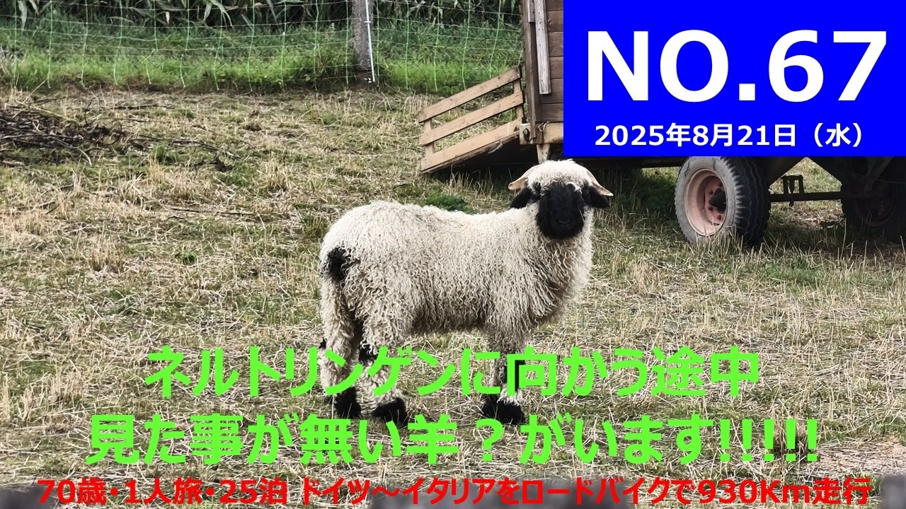 NO,67 ネルトリンゲンに向かう途中で教会に入ります。