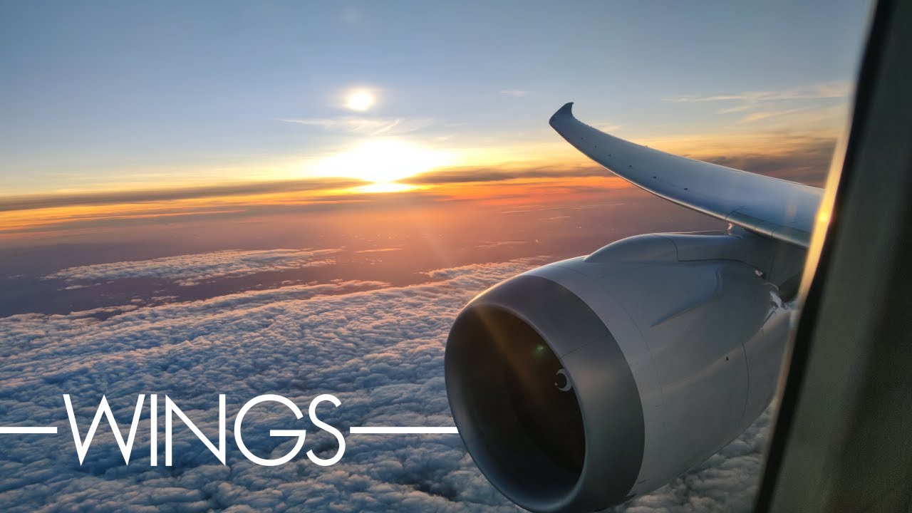 WINGS II - An Aviation Movie (2022)