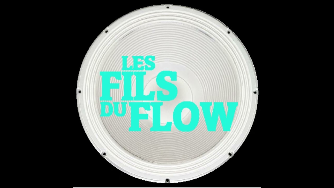 FILS DU FLOW (vie éphémère) 2024
