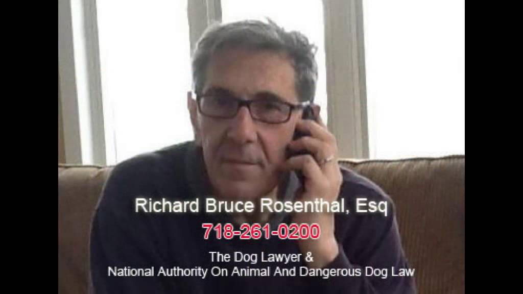 Dog Bite Defense Attorney New York