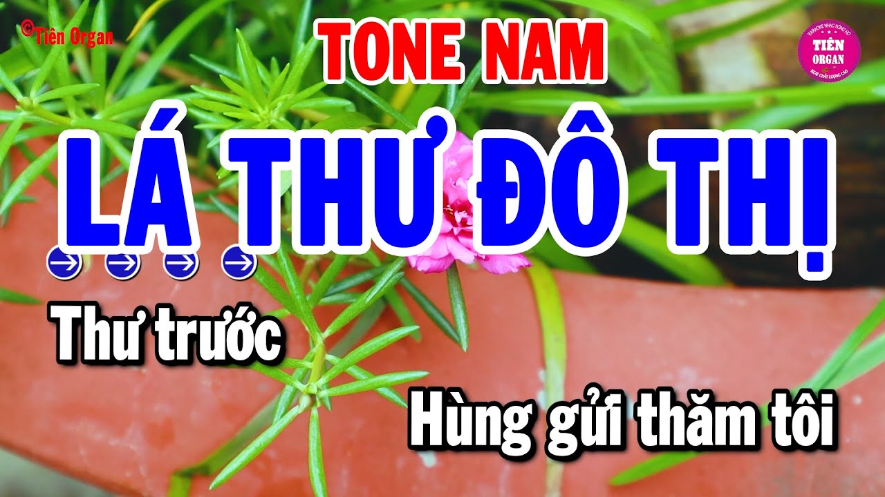 Lá Thư Đô Thị Karaoke Tone Nam - Rumba Chuẩn Chất Lượng Cao | Tiên Organ