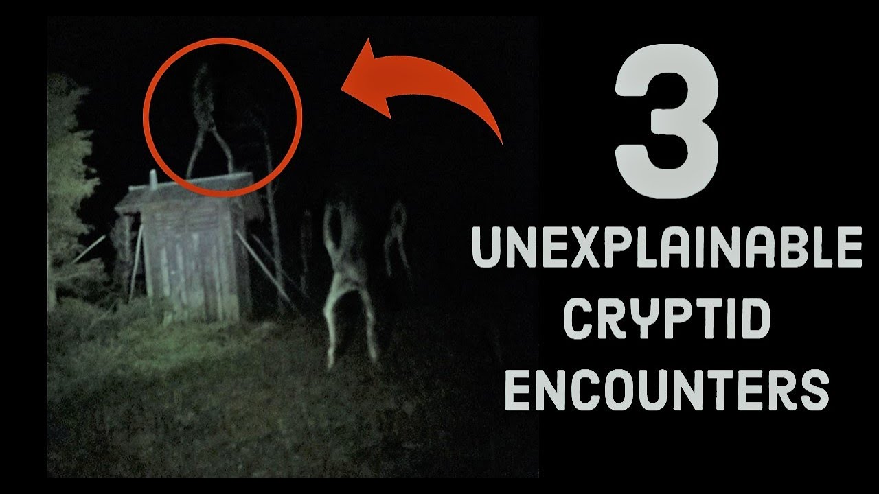 True Scary Stories | 3 Unexplainable Cryptid Encounters | Scary Stories To Tell In The Dark