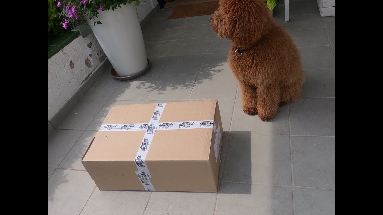 Rarebag Harley Davidson Breakout Satteltasche Unboxing & Installation