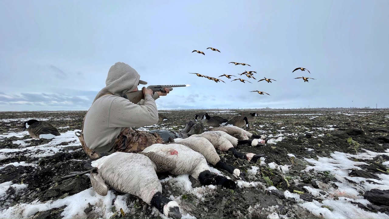 INSANE Late Season Solo Goose Hunting! (Limited Out)