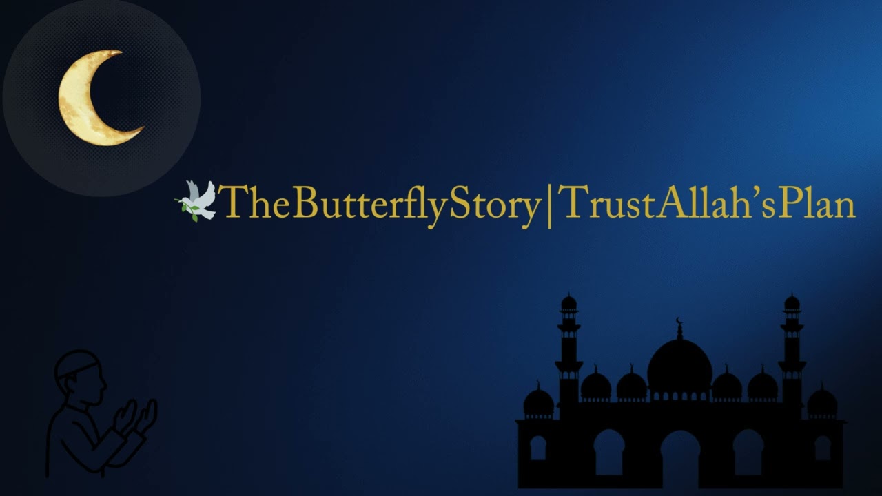 The Butterfly Story  Trust Allah’s Plan 🕊️