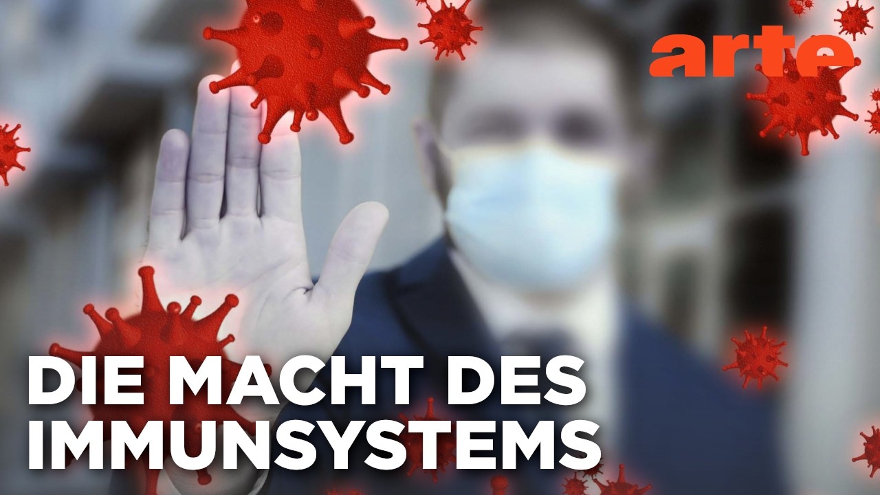 Unser Immunsystem - W&auml;chter der Gesundheit | Doku HD Reupload | ARTE