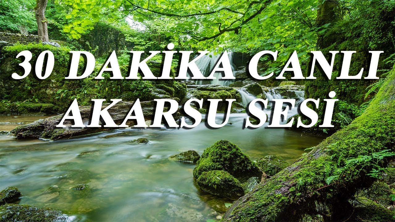 Rahatlatan Dere Sesi, Rahatlatıcı Akarsu Sesi, Ruhu Dinlendirici M&uuml;kemmel Su Sesi, Yaka Kanyonu