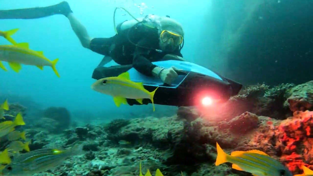 iAqua | AquaDart - Dusk till dawn