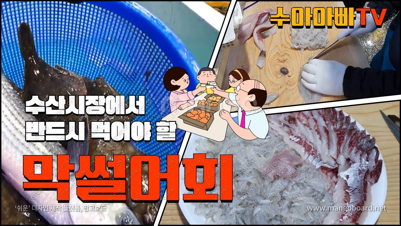 [수산시장에서 꼭 먹어야 하는 막썰어 회] 막썰어야 맛있다. 봄도다리, 보리숭어가 막썰어회의 대표생선. How to Fillet Flounder and Mullet [수아아빠TV]