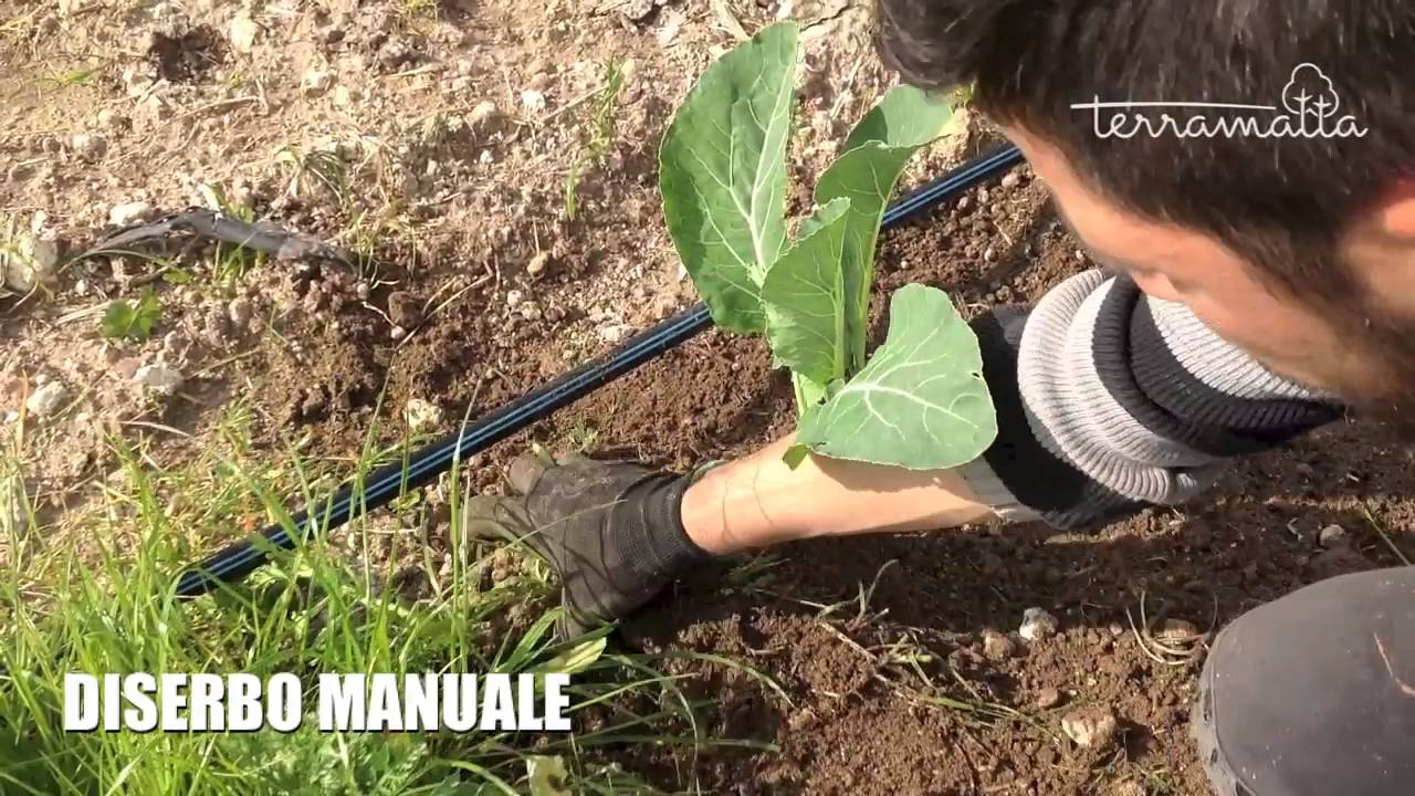 Il Diserbo Manuale
