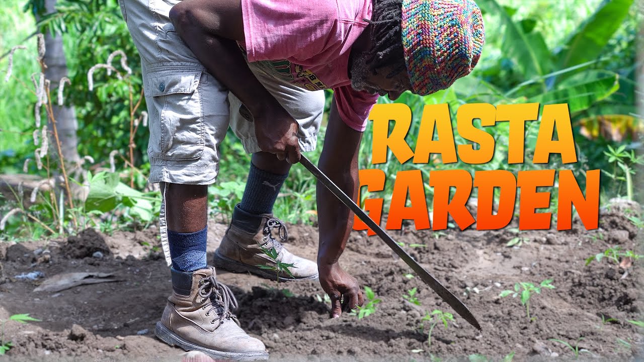 Rasta Gardening, Herbs & Aloe's Magic Sunburn SOS