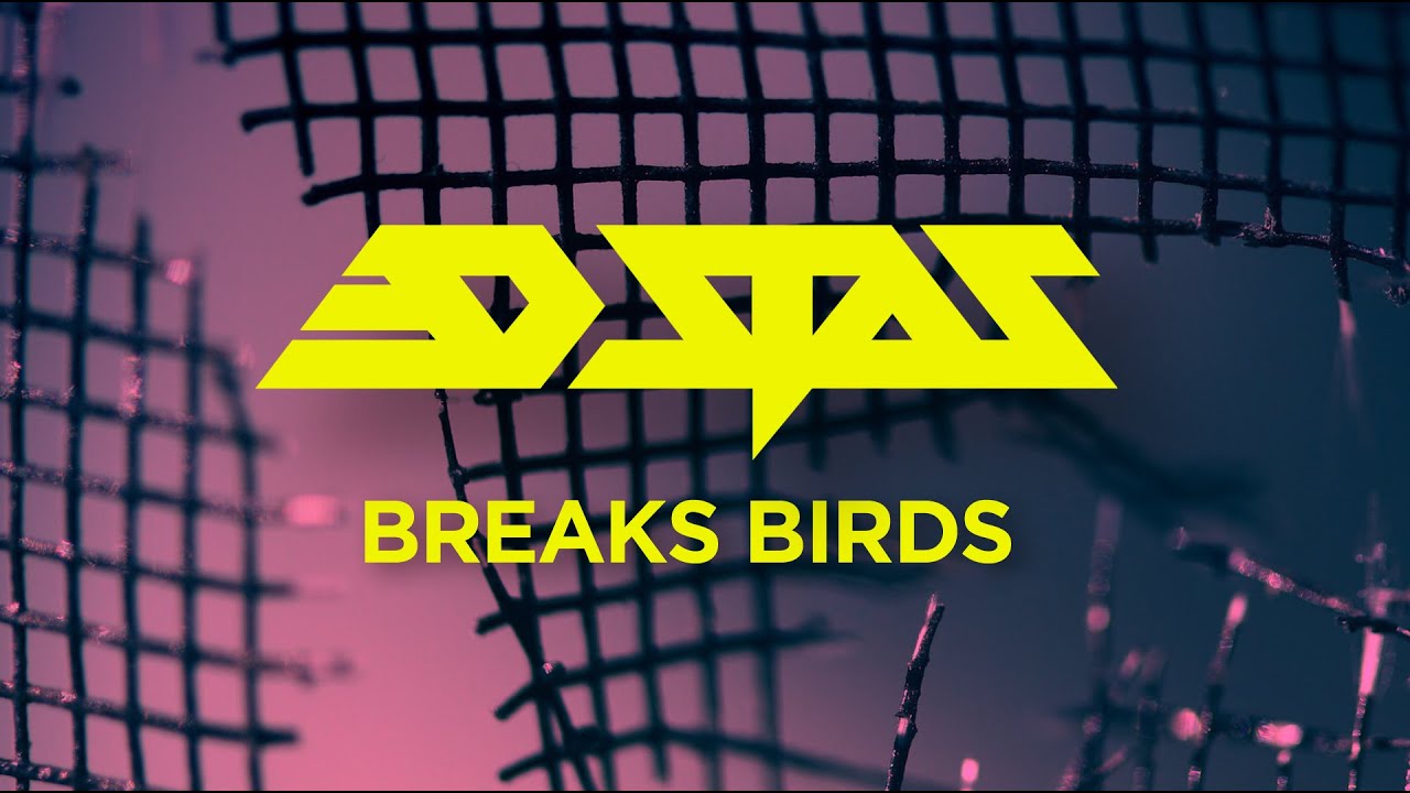 3D Stas - Breaks Birds