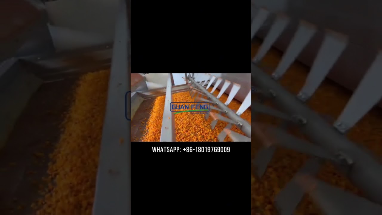 This fully automatic 5T/h diced carrot drying production line continuously processes fresh carrots