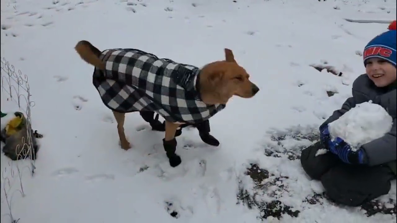 У Сёмы обновка
