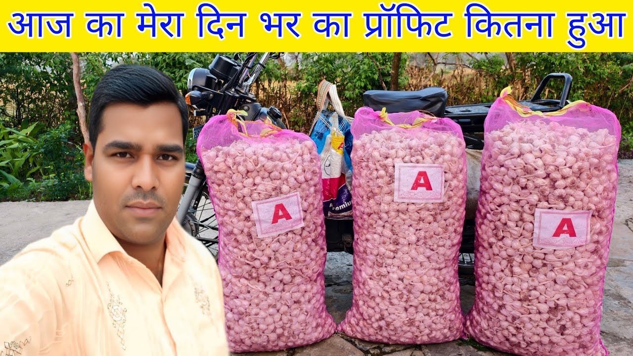 आज का मेरा दिन भर का प्रॉफिट कितना हुआ। Feri Wala Vlogs Small Business Idea 