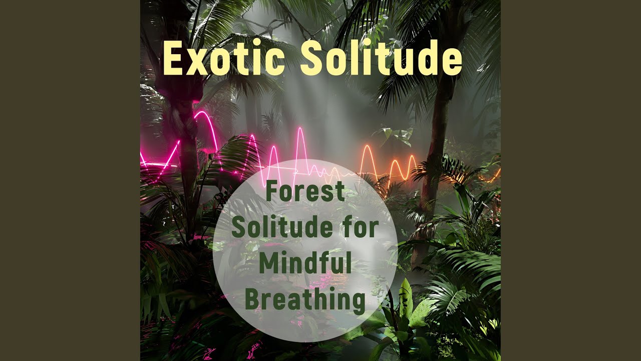 Forest Solitude for Mindful Breathing