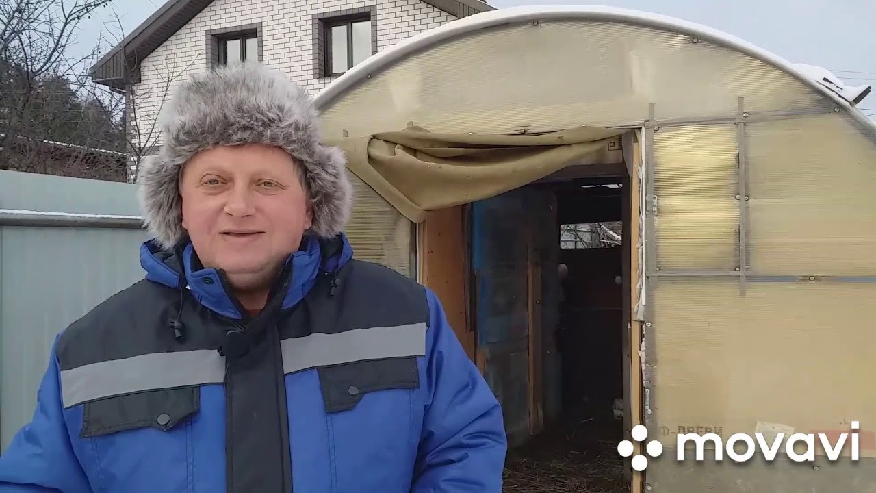 Содержание и уход за утками в теплице зимой.Утятник своими руками дёшего.