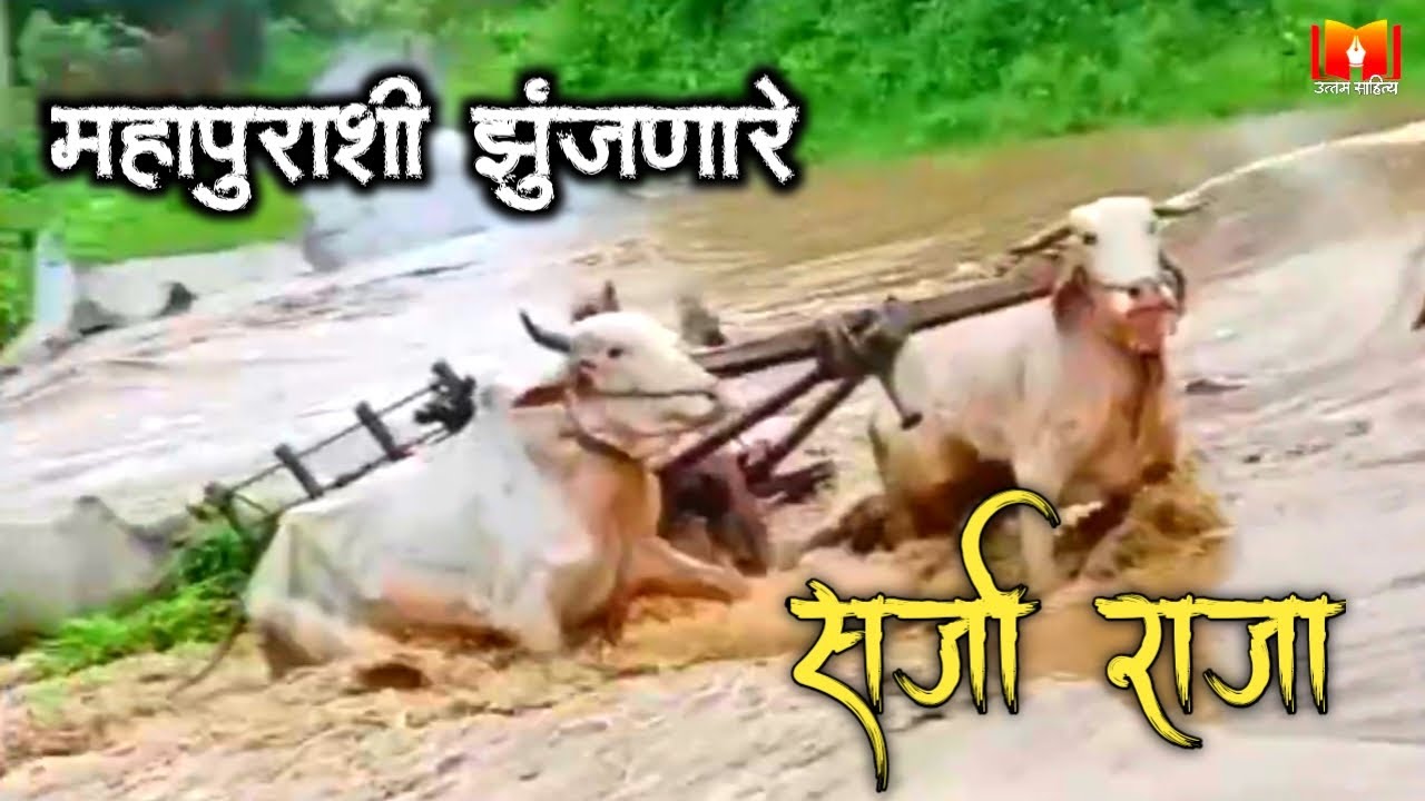 सर्जा राजाची महापुराशी झुंज #flood  #cowvideos  #khilaribailjod