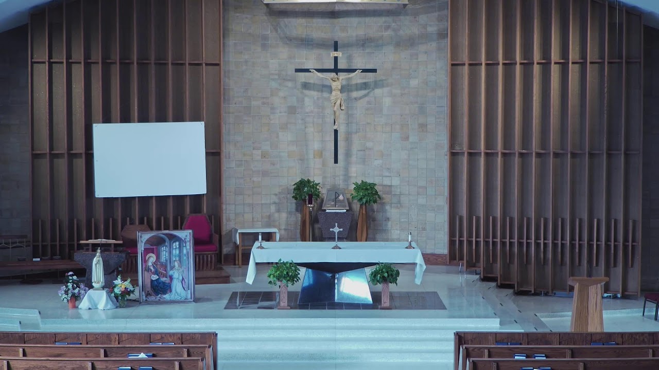 Fifth Sunday in Ordinary Time 9 AM Mass