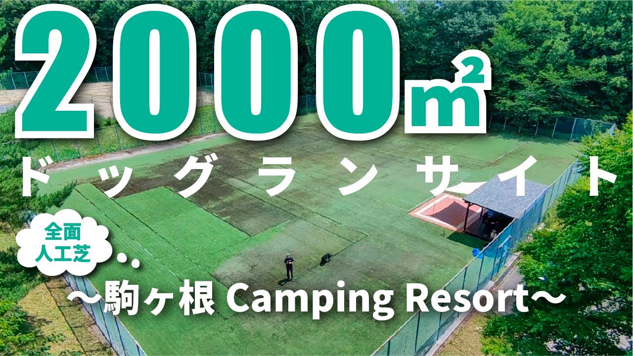 【駒ヶ根Camping Resort】2,000㎡のドッグランサイト！全面人工芝で専用プール付き！犬連れキャンプ