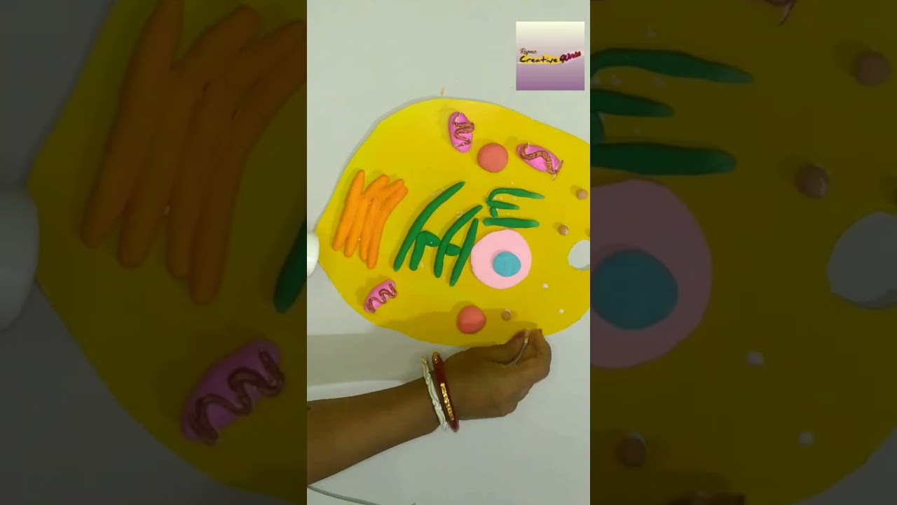 Animal Cell 3D Model Using Clay | DIY #shorts