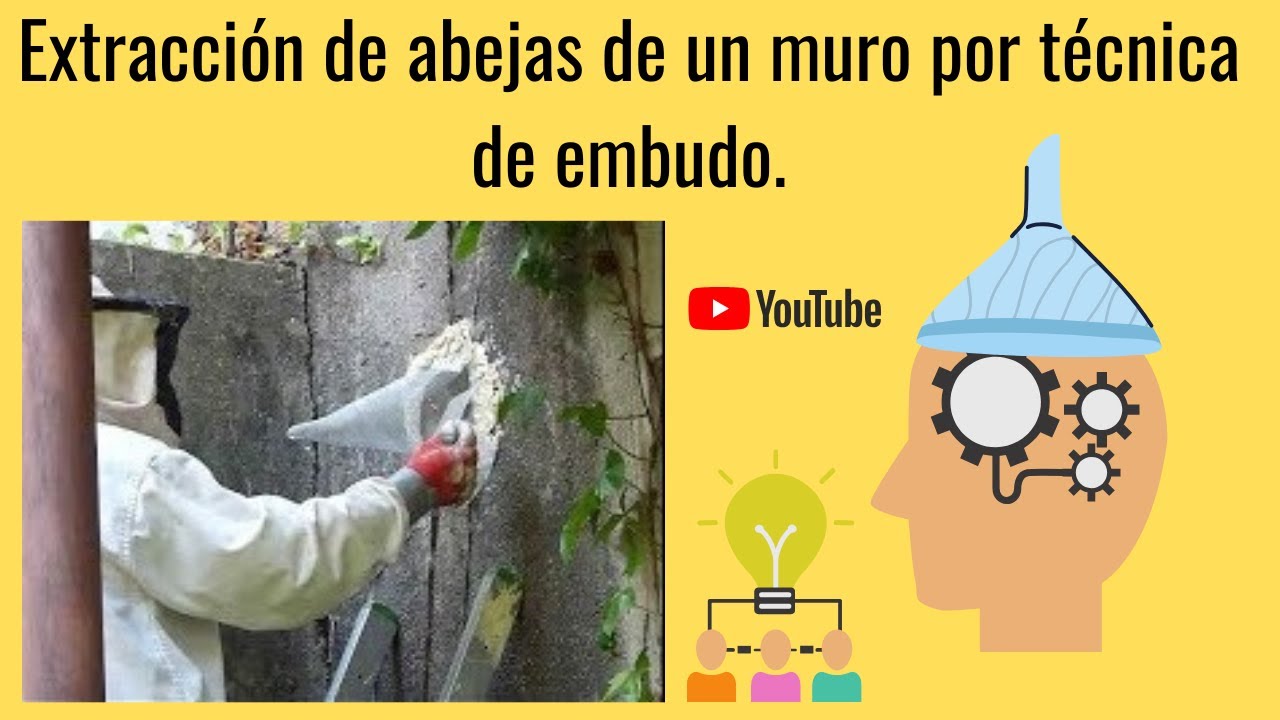 🌍 Извлечение 🐝 пчел из стены методом ⏳ воронки. Шаг за шагом🚶🚶🚶