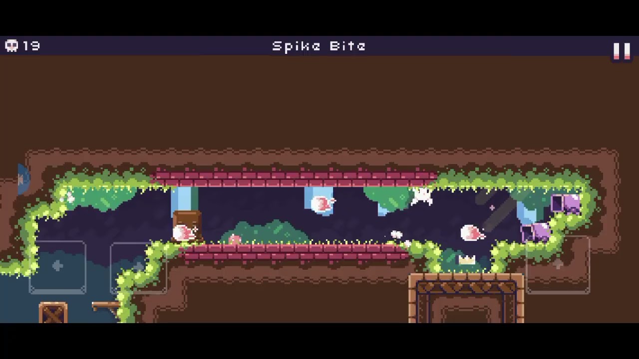 En un nuevo planeta a explorar | Cat Bird episodio 2