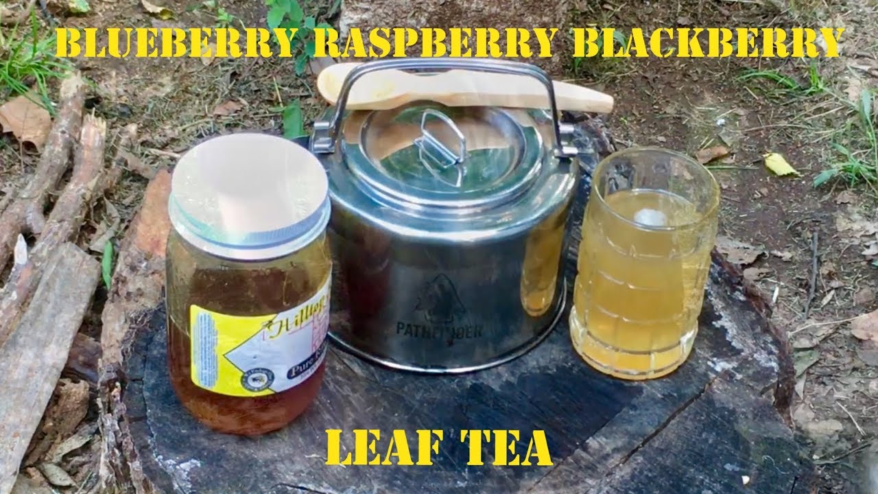 Making Blueberry/Raspberry/Blackberry Leaf Tea