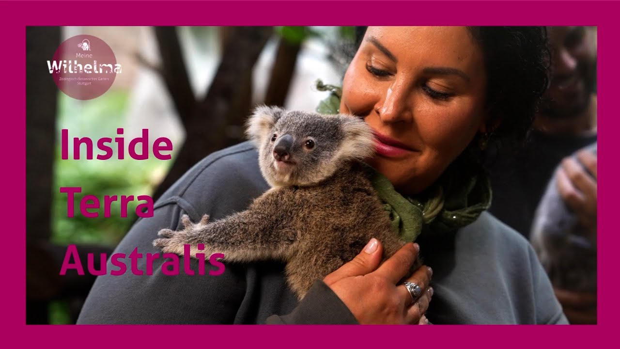 Hinter den Kulissen der Terra Australis – Koalas, Quolls & Quokkas