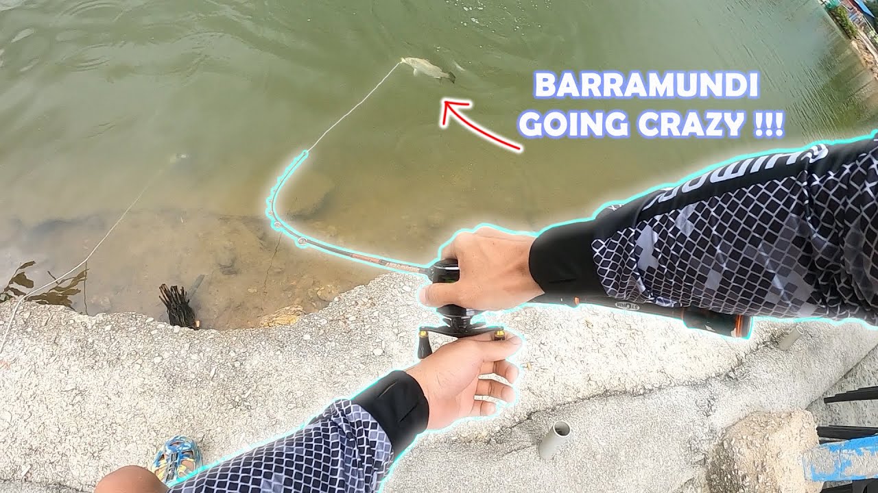 Fishing Barramundi (Casting Siakap) at Brother Fishing Pond - Episode 4